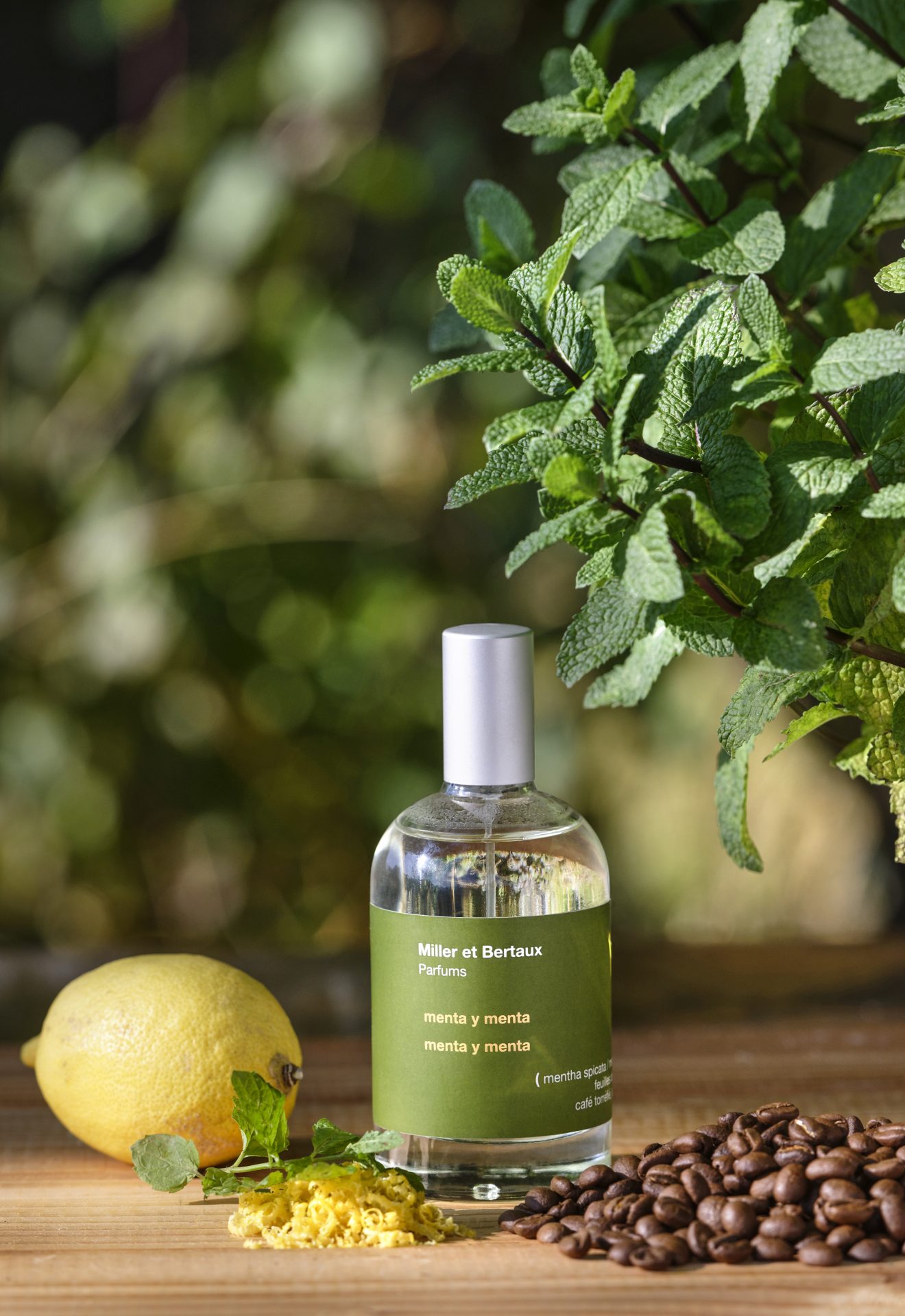 Menta y Menta by Miller et Bertaux