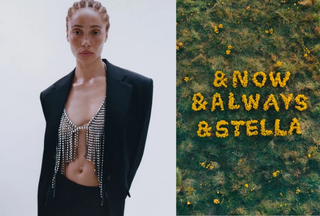 Stella McCartney x H&M: Why This Collab Makes Sense | I'M FIRENZE