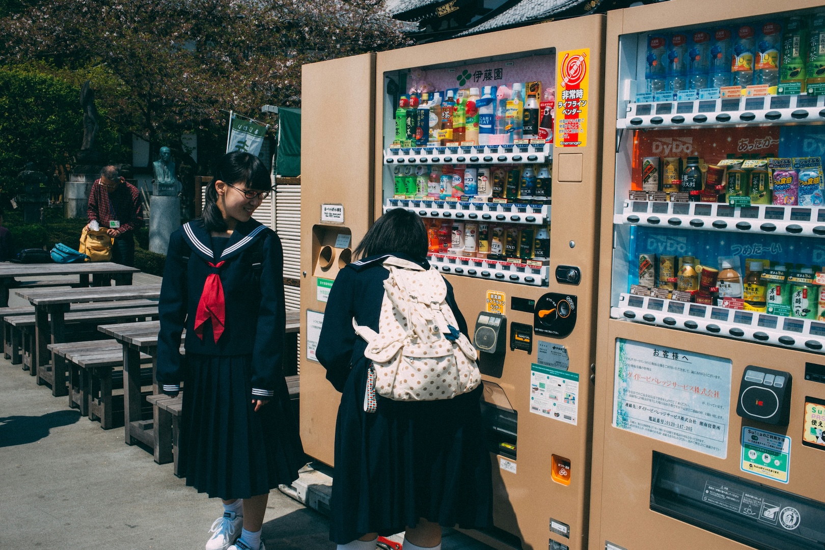 why-everyone-traveling-japan
