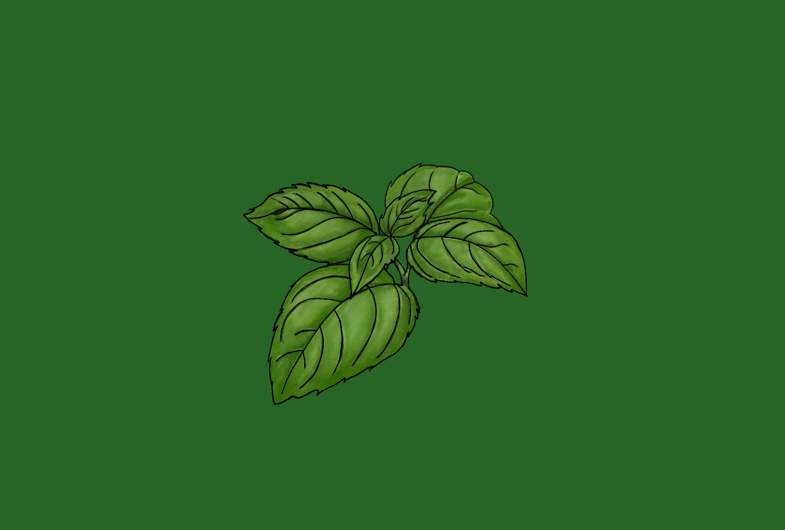 beyond-pesto-basil-in-food-perfume-and-beauty