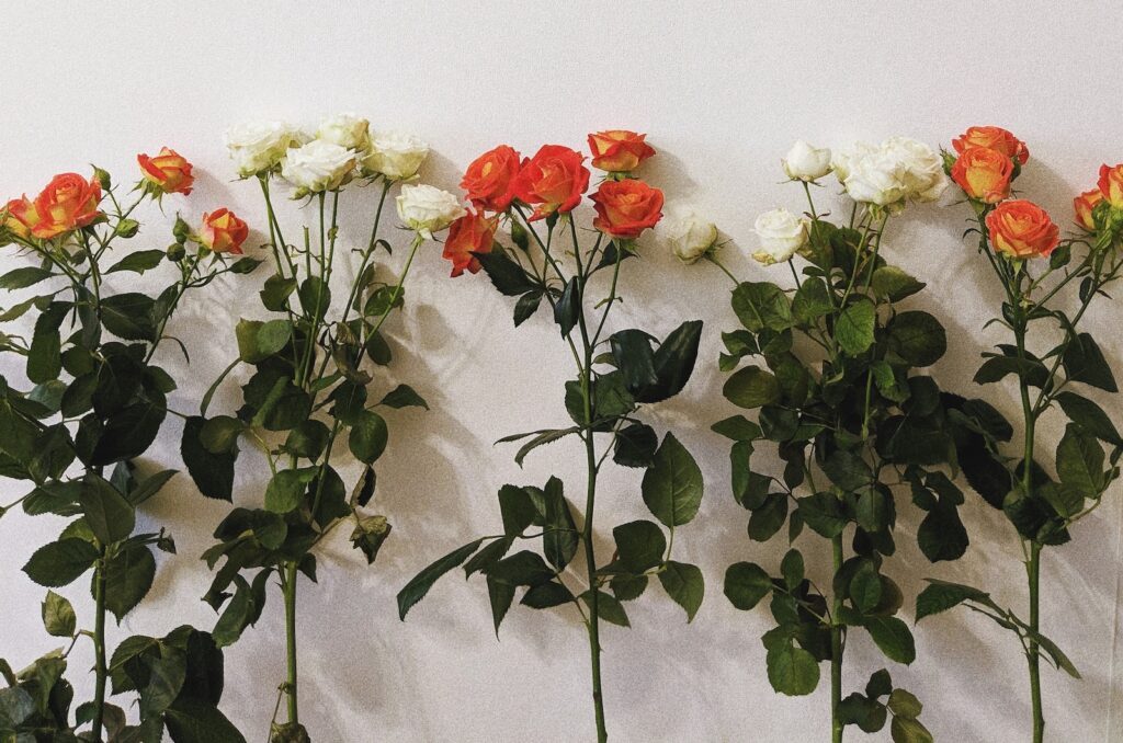 Stop Scrolling, Start Writing Poetry: What Plants Can Teach Us